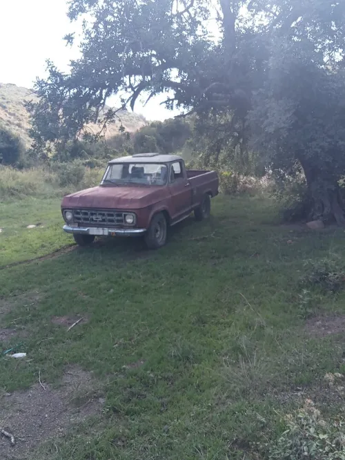 Chevrolet C 10 1981 