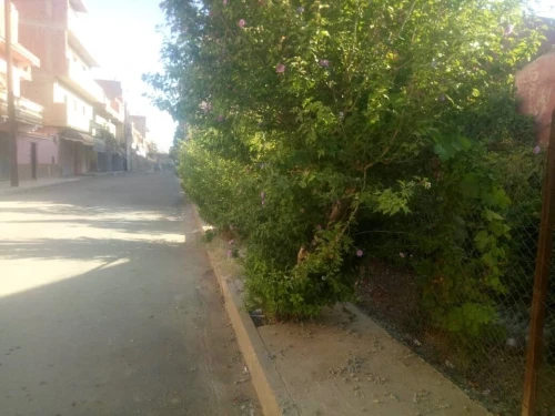 Vente Villa Mascara Froha