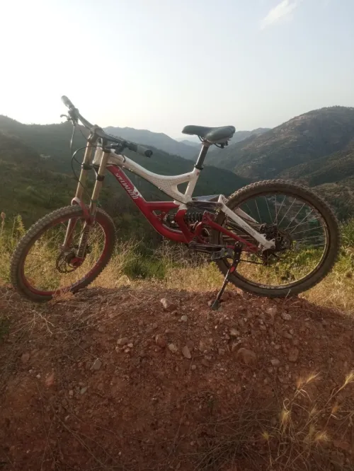 Specialized