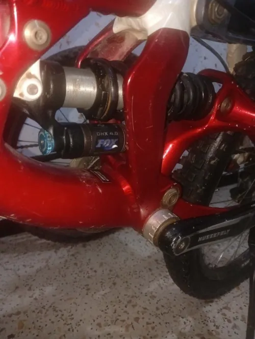 Specialized