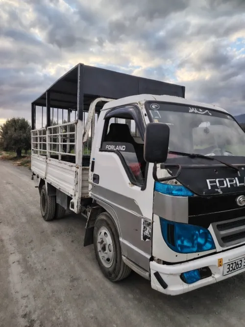 Forland Camion 2013