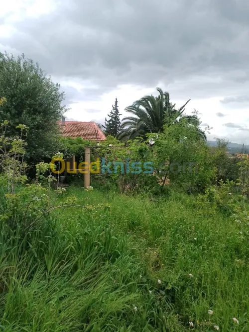 Vente Villa Tizi Ouzou Frikat