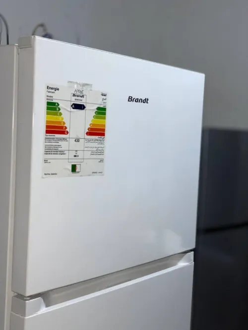 Réfrigérateur Brandt 610L 510L et 410L Déclassé