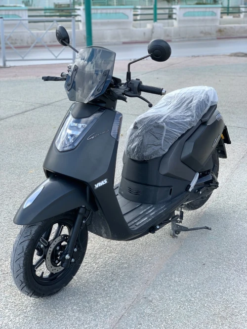 Vms Gemma 2025