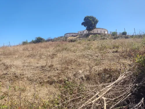 Vente Terrain Jijel El kennar nouchfi