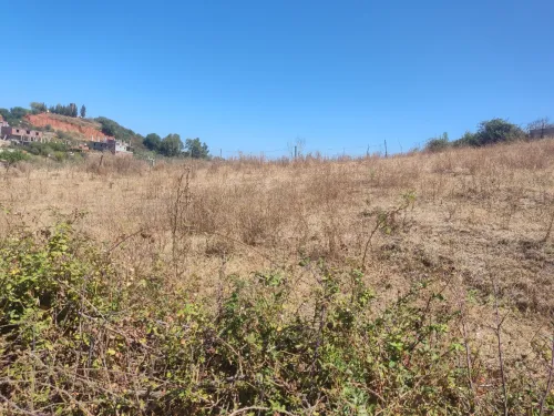 Vente Terrain Jijel El kennar nouchfi