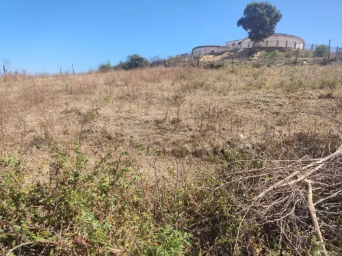 Vente Terrain Jijel El kennar nouchfi