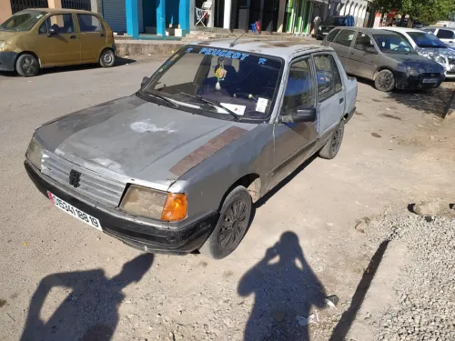 Peugeot 309 1988 309
