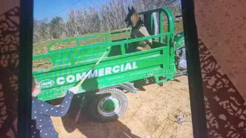 Vms Vms commercial 2024