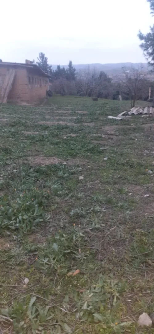 Vente Terrain Bouira El hachimia