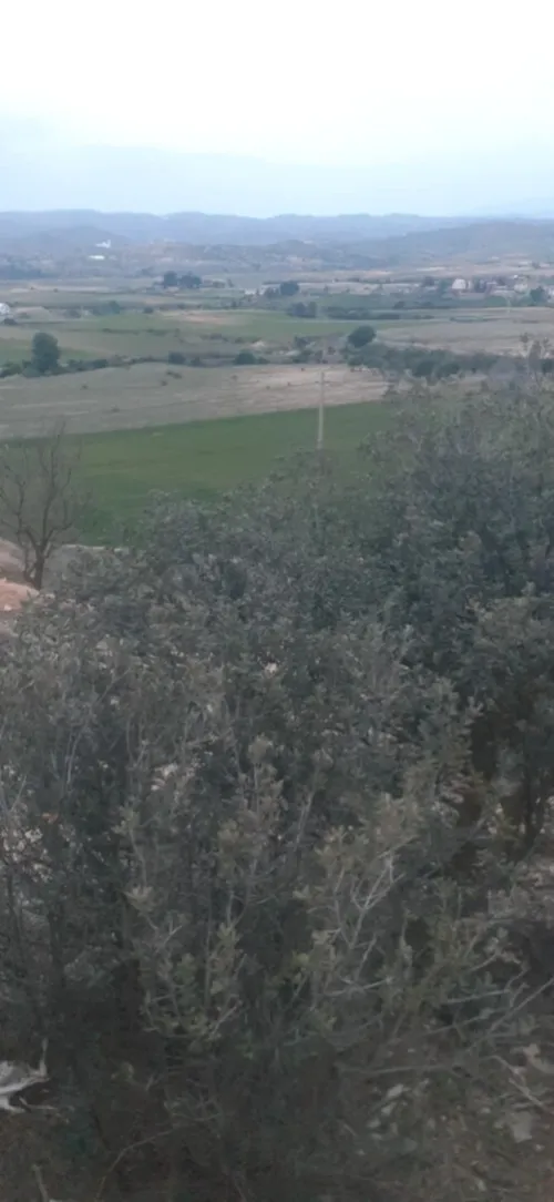 Vente Terrain Bouira El hachimia