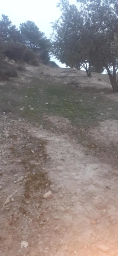Vente Terrain Bouira El hachimia