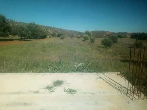Vente Terrain Bouira Aghbalou