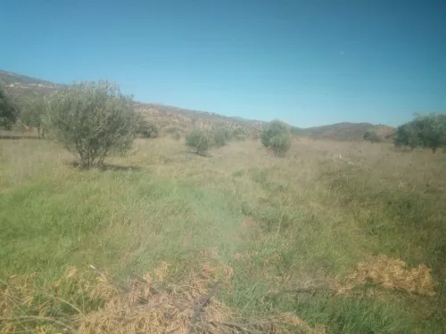 Vente Terrain Bouira Aghbalou