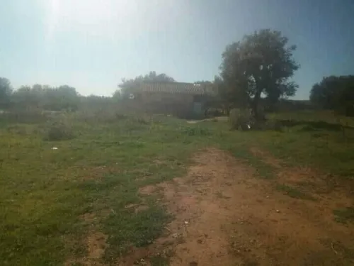 Vente Terrain Bouira Aghbalou