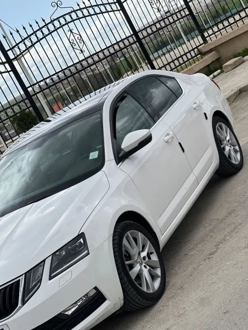 Skoda Octavia 2019 Clever