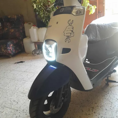 Cuxi Cuxi 1 2024