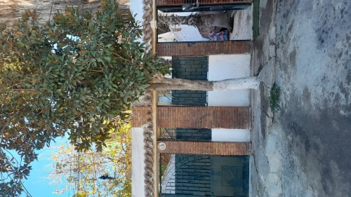 Vente Villa Blida Larbaa