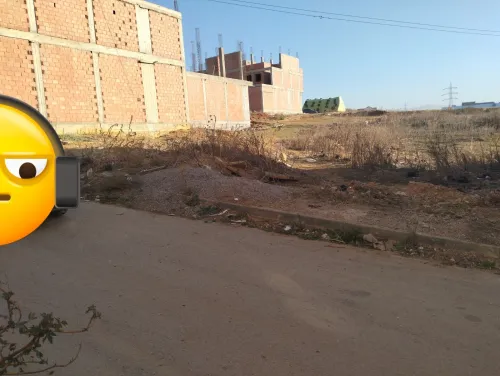Vente Terrain Boumerdès Ouled moussa