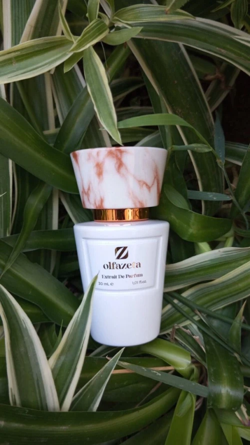  Parfums ORIGINAL OLFAZETA | ITALIANO