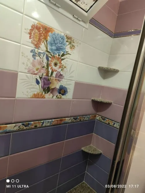 Vente Appartement Tipaza Bou ismail