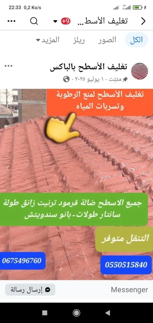 بودواو بومى