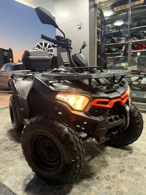 Vms Quad, grizzli 2024