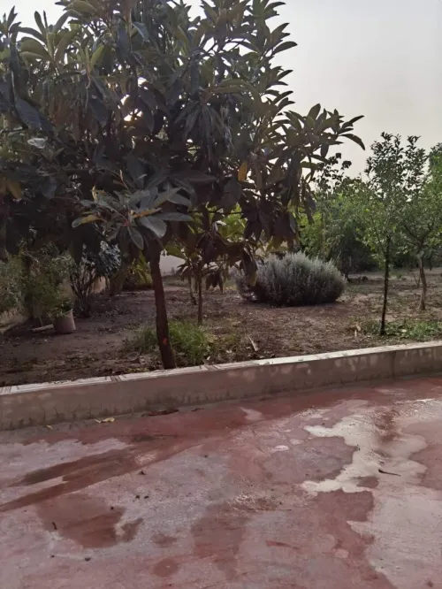 Vente bien immobilier Sidi Bel Abbès Telagh
