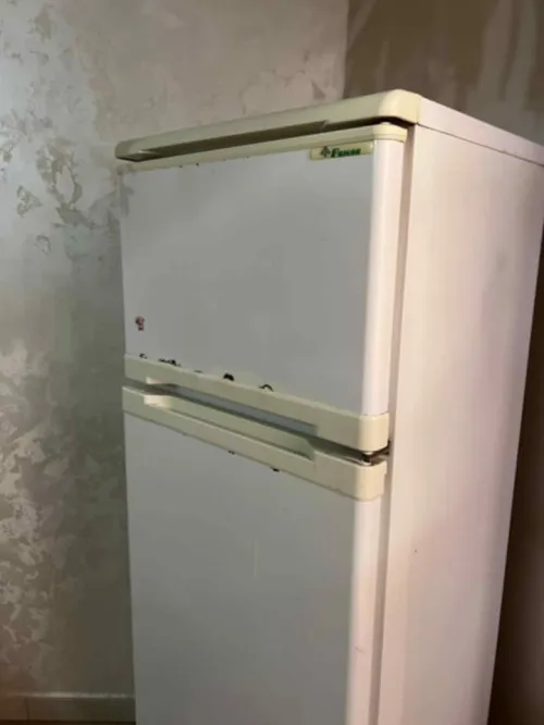 فريجيدار