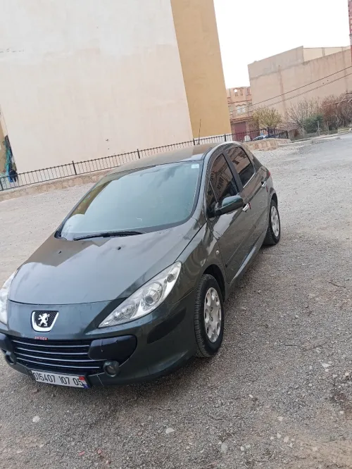 Peugeot 307 2007 Oxygo
