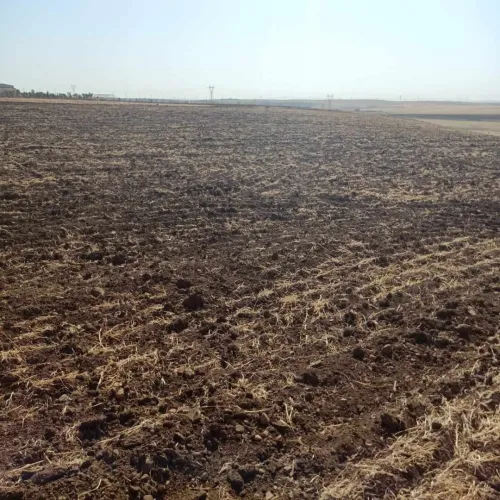 Vente Terrain Sidi Bel Abbès Ain thrid