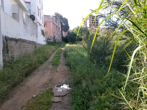 Vente Terrain Alger Hussein dey