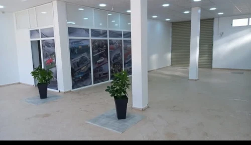 Location Local Djelfa Djelfa