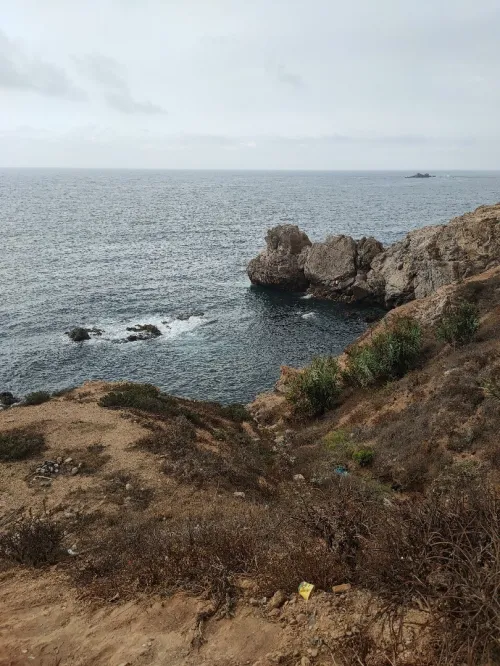 Vente Villa Alger El marsa