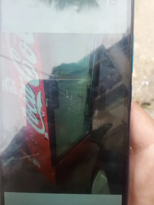 Frigo coca