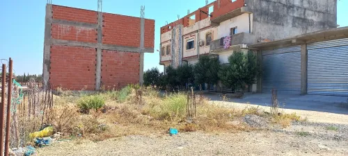 Vente Terrain Setif Guidjel