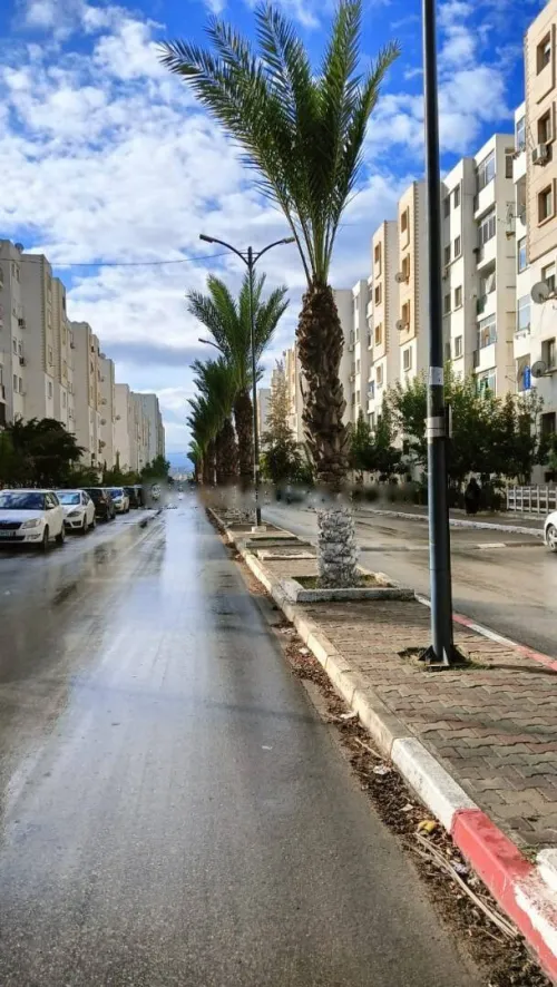 Vente Local Alger Baba hassen