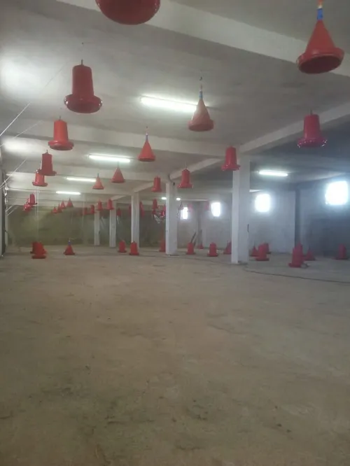 Vente Terrain Agricole Batna Lazrou