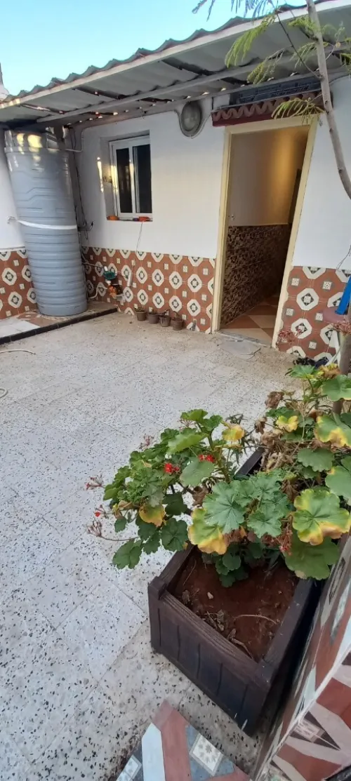 Location Appartement F2 Alger Staoueli 12