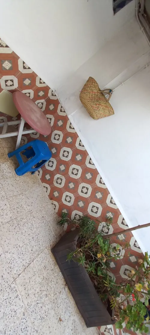 Location Appartement F2 Alger Staoueli