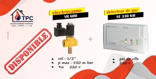 Détecteur de gaz  + électrovanne