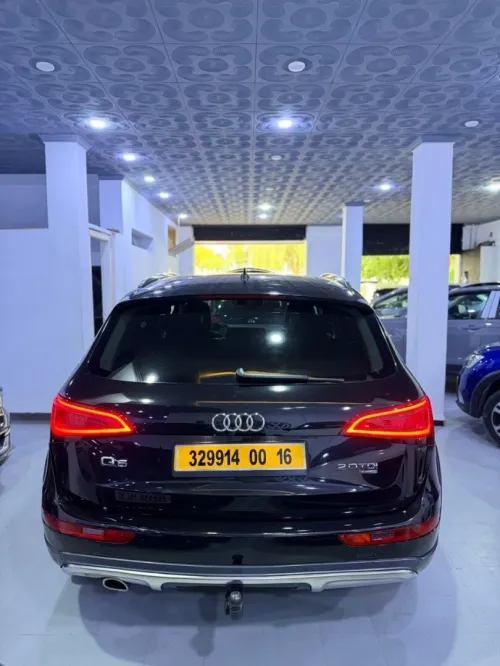 Audi Q5 2013 Offroad