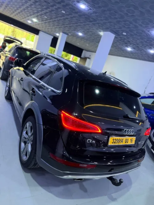 Audi Q5 2013 Offroad