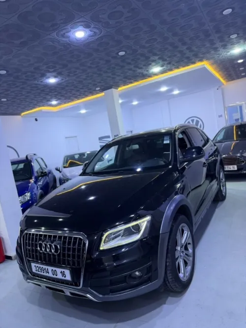 Audi Q5 2013 Offroad