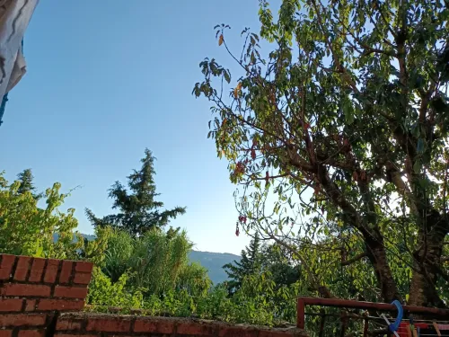 Location vacances Niveau De Villa F3 Annaba Seraidi