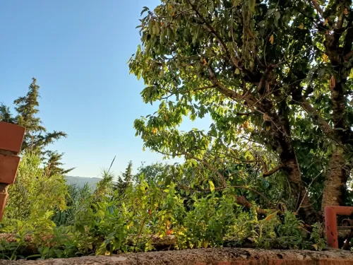 Location vacances Niveau De Villa F3 Annaba Seraidi