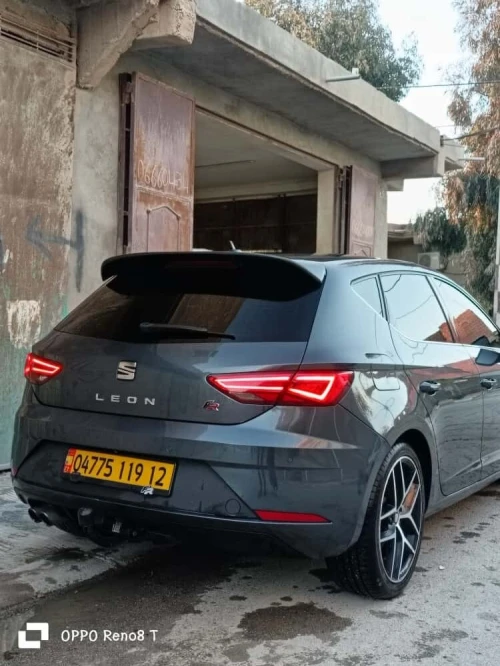 Seat lion 2019 bets