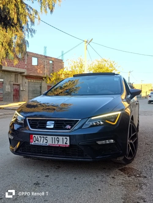 Seat lion 2019 bets