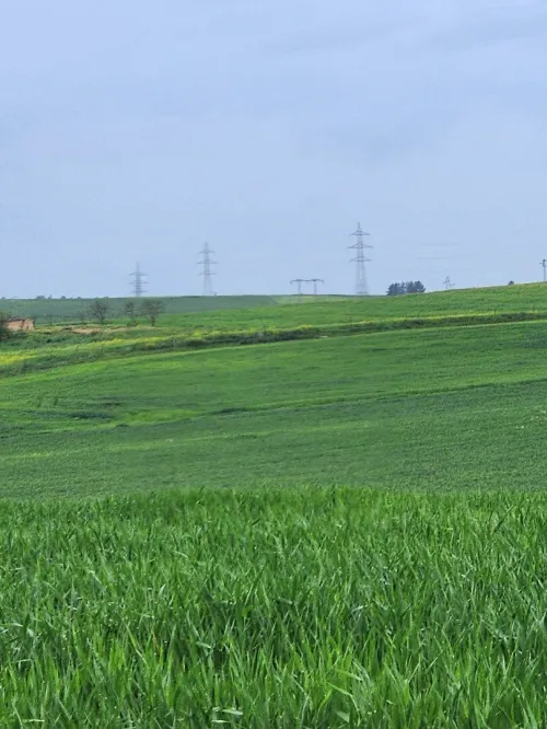 Vente Terrain Agricole Bouira Ain laloui
