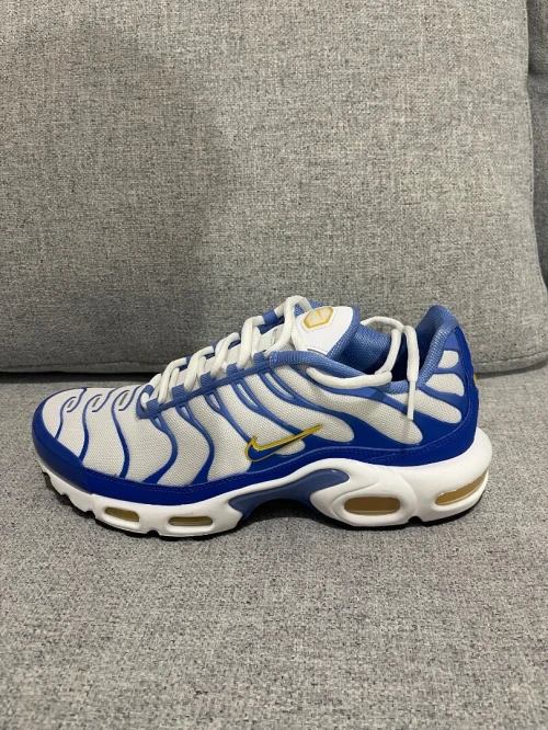 Nike Tn original